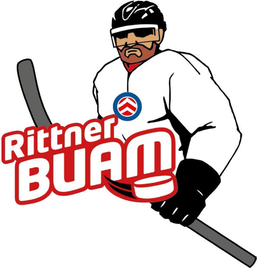 Rittner Buam 2016-Pres Primary Logo iron on heat transfer